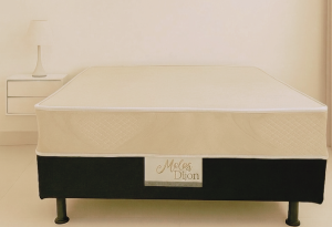 CAMA BOX MOLAS - LONG LIFE - CASAL